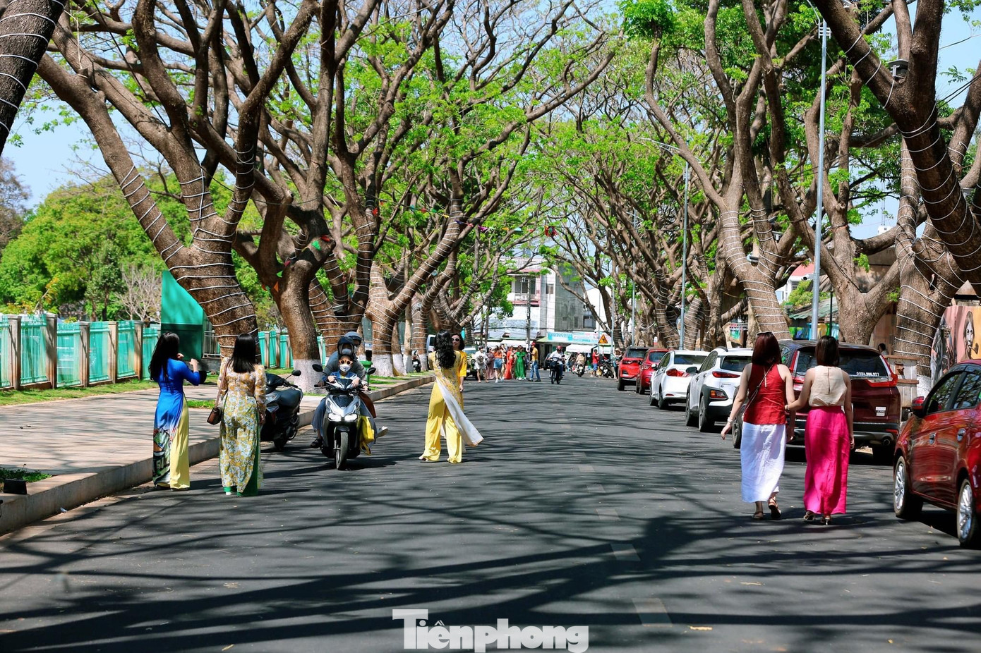 Từ sáng sớm, đường Phan Đình Giót (phường Tân Tiến) với những bức bích họa đầy ấn tượng nằm kề bên hàng cây cổ thụ phủ bóng tuyệt đẹp, thu hút nhiều người dân và du khách đến đây.