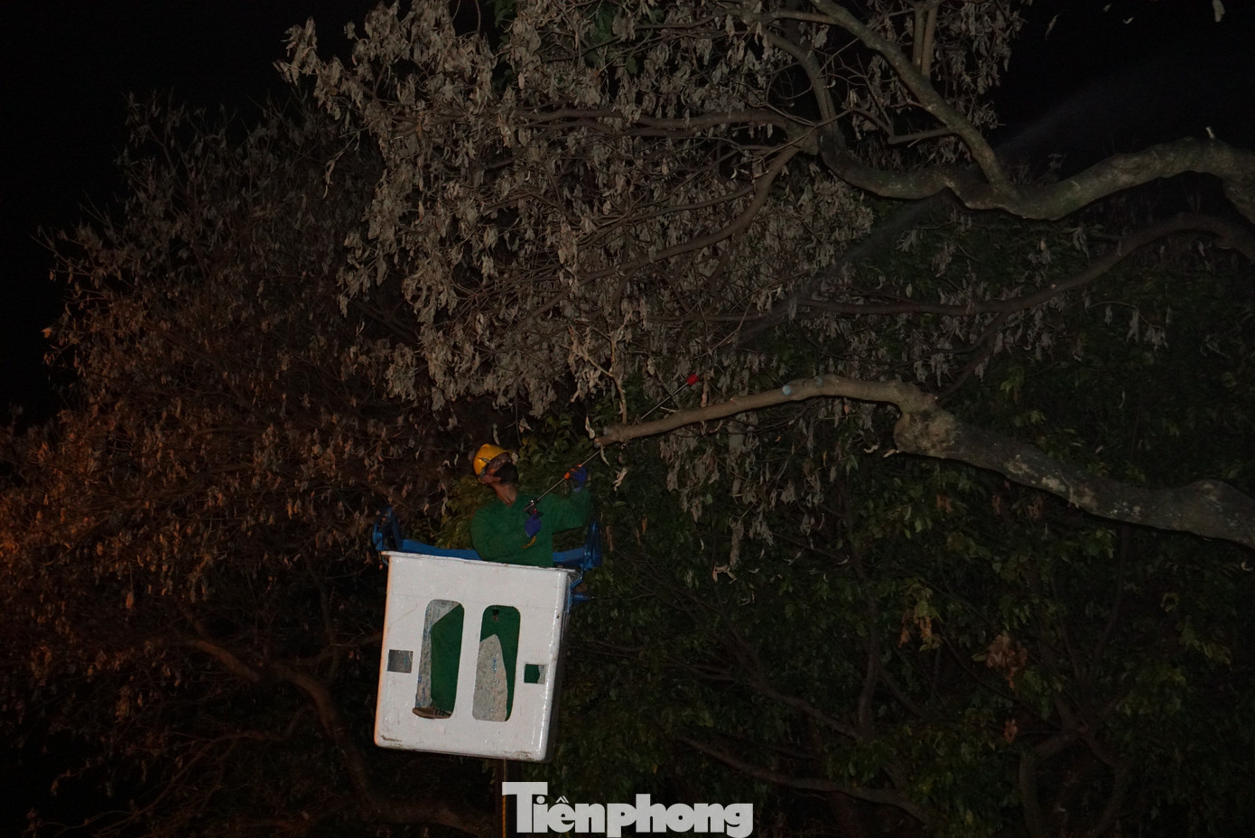 “Việc xịt thuốc trừ sâu lúc giữa đêm, rạng sáng để không gây ảnh hưởng đến người dân. Chúng tôi phun thuốc từ 1-5 giờ sáng, tìm mọi cách cứu cây, không để sâu ăn lá lây lan sang những cây xanh khác”, ông Trần Đức Trọng (SN 1974), Đội quản lý cây xanh, Cty CP Đô thị và Môi trường Đắk Lắk cho biết.