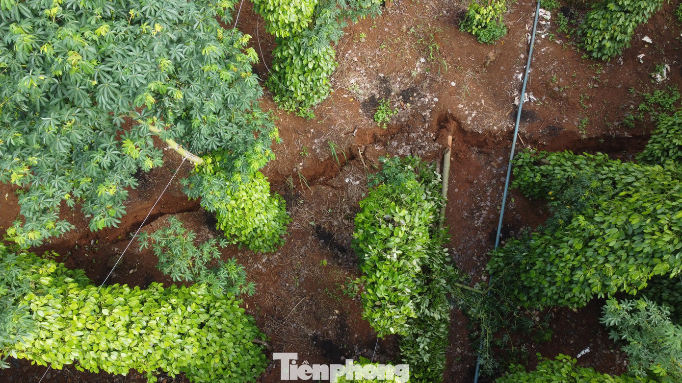 Vết nứt trên đất rẫy của người dân khu vực quả đồi Vết nứt trên đất rẫy của người dân khu vực quả đồi