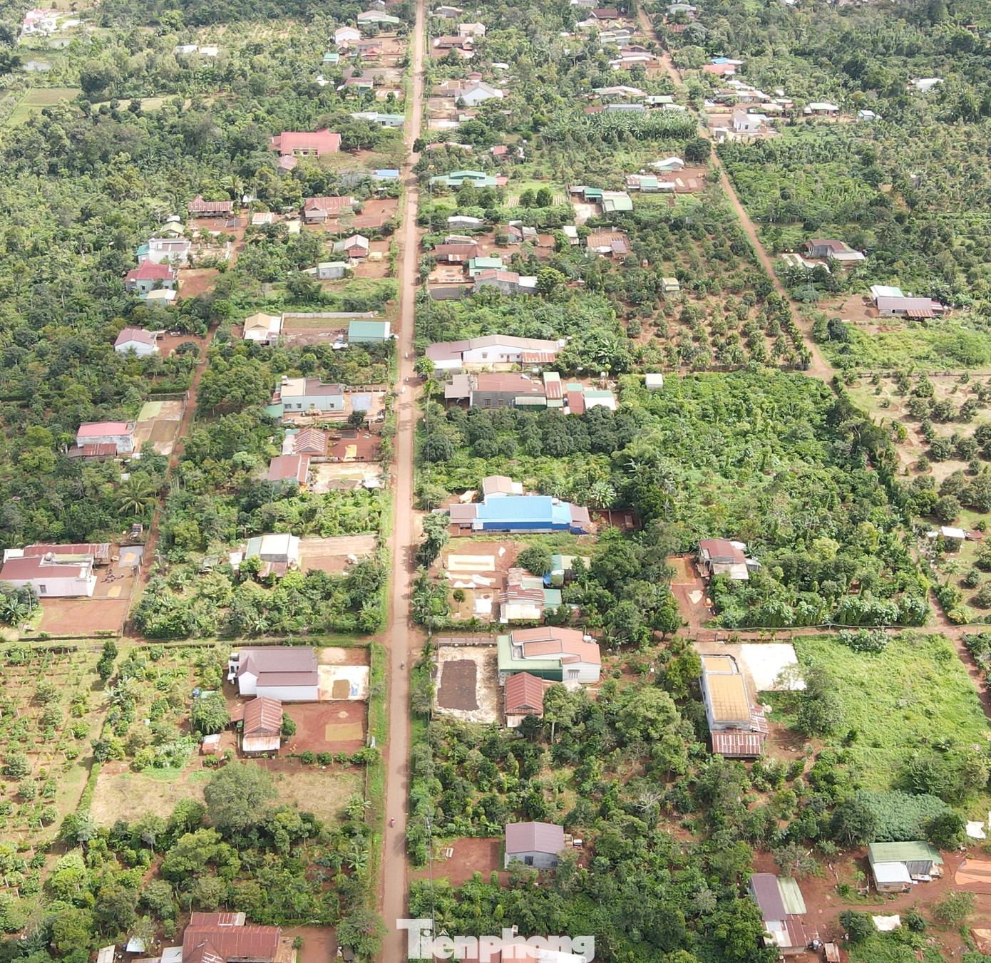 TDP Tân Mai có hàng trăm hộ dân đồng bào dân tộc thiểu số, nhiều hộ có hoàn cảnh khó khăn TDP Tân Mai có hàng trăm hộ dân đồng bào dân tộc thiểu số, nhiều hộ có hoàn cảnh khó khăn