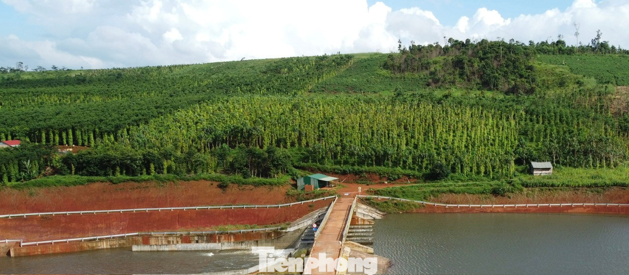 Ông Nguyễn Văn Nghĩa, Giám đốc Ban quản lý các dự án đầu tư xây dựng tỉnh Đắk Nông cho biết, vết nứt ở khu vực đồi gần chân đập kéo dài khoảng 500m, sâu khoảng 150m và chưa có chiều hướng dừng lại.