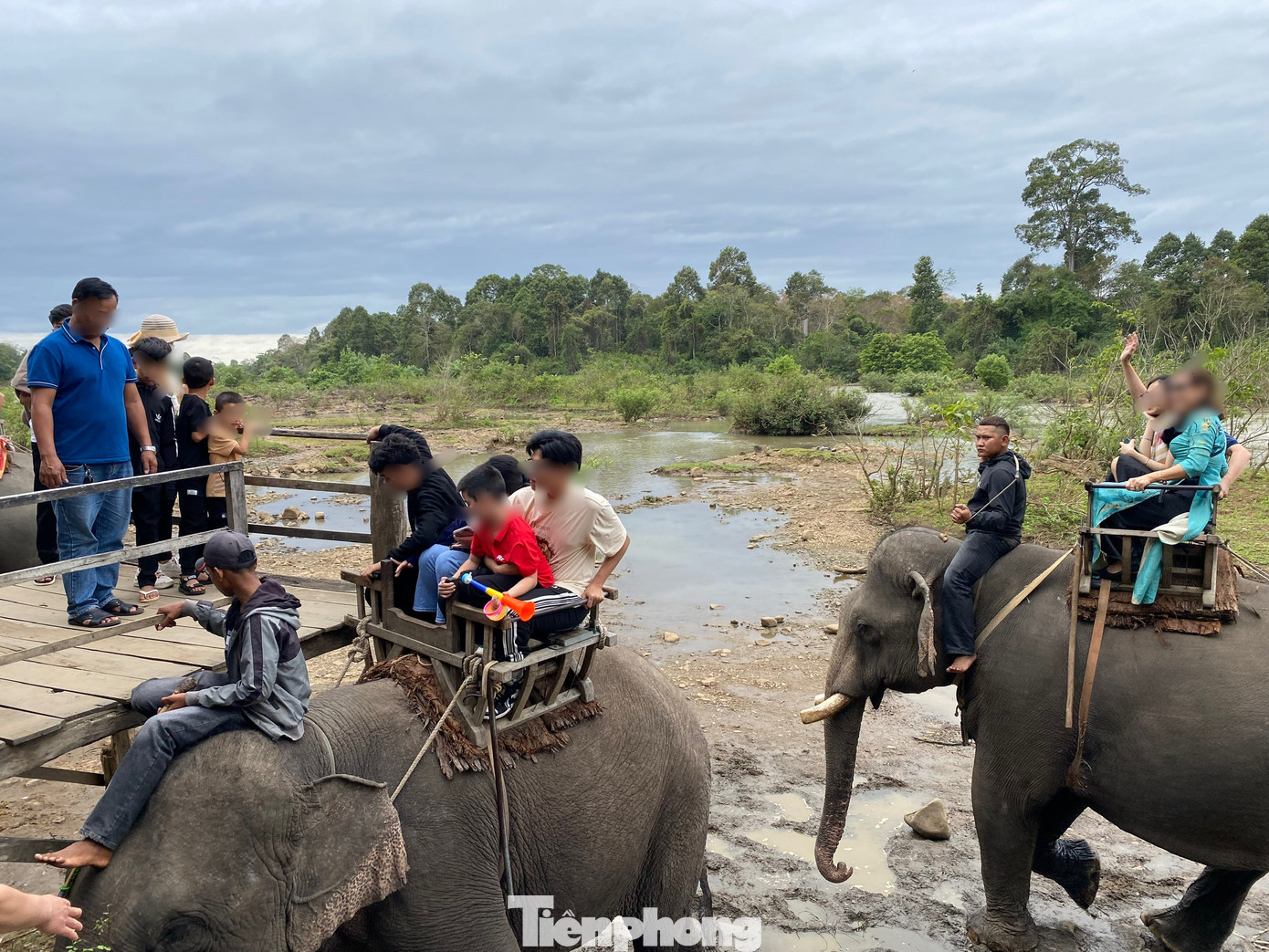 Du khách cưỡi voi Du khách cưỡi voi
