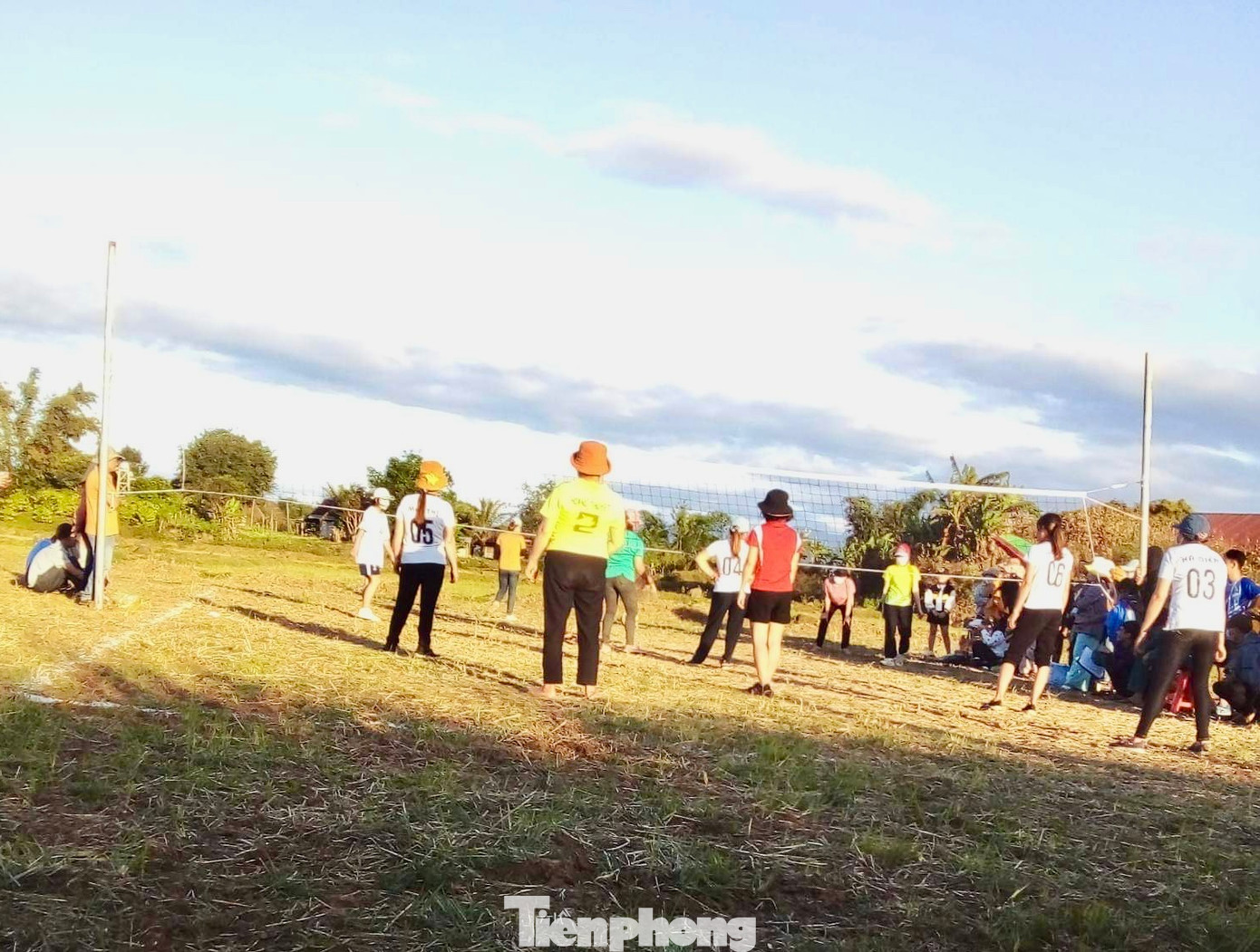 Các đội bóng chuyền nữ thi đấu.