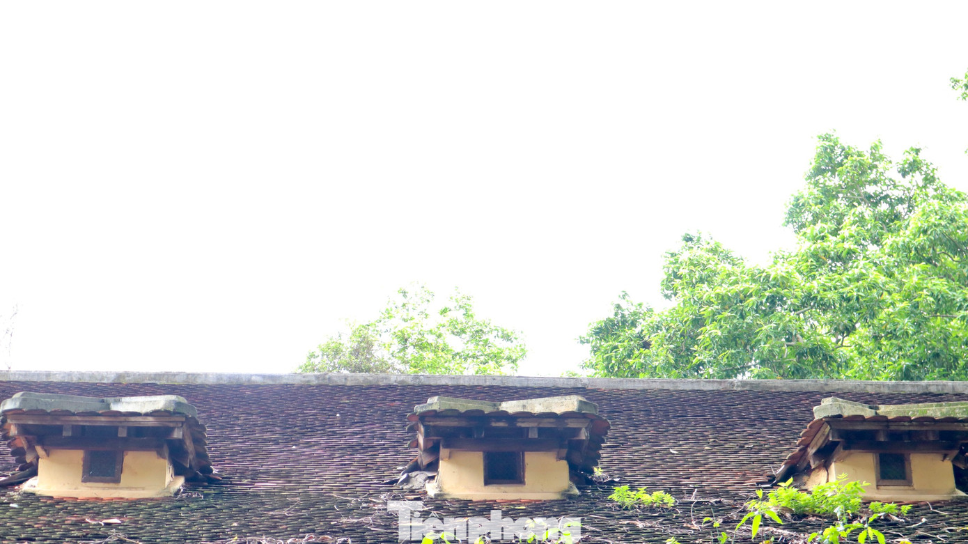 Lỗ thông gió thiết kế trên phần đỉnh mái nhà.