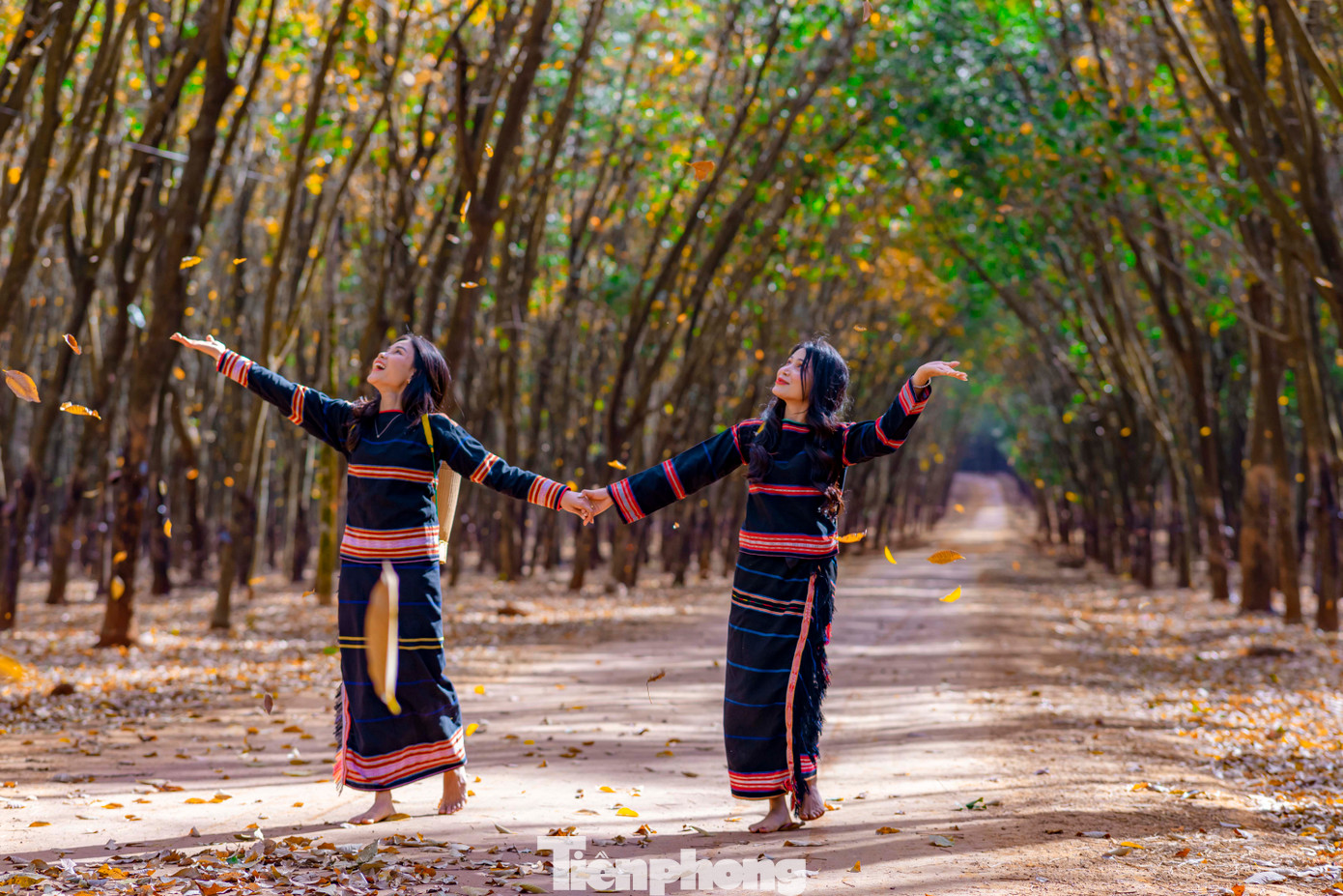 Hai thiếu nữ mặc trang phục người Ê đê săn khoảnh khắc những chiếc lá cao su rụng xuống Hai thiếu nữ mặc trang phục người Ê đê săn khoảnh khắc những chiếc lá cao su rụng xuống