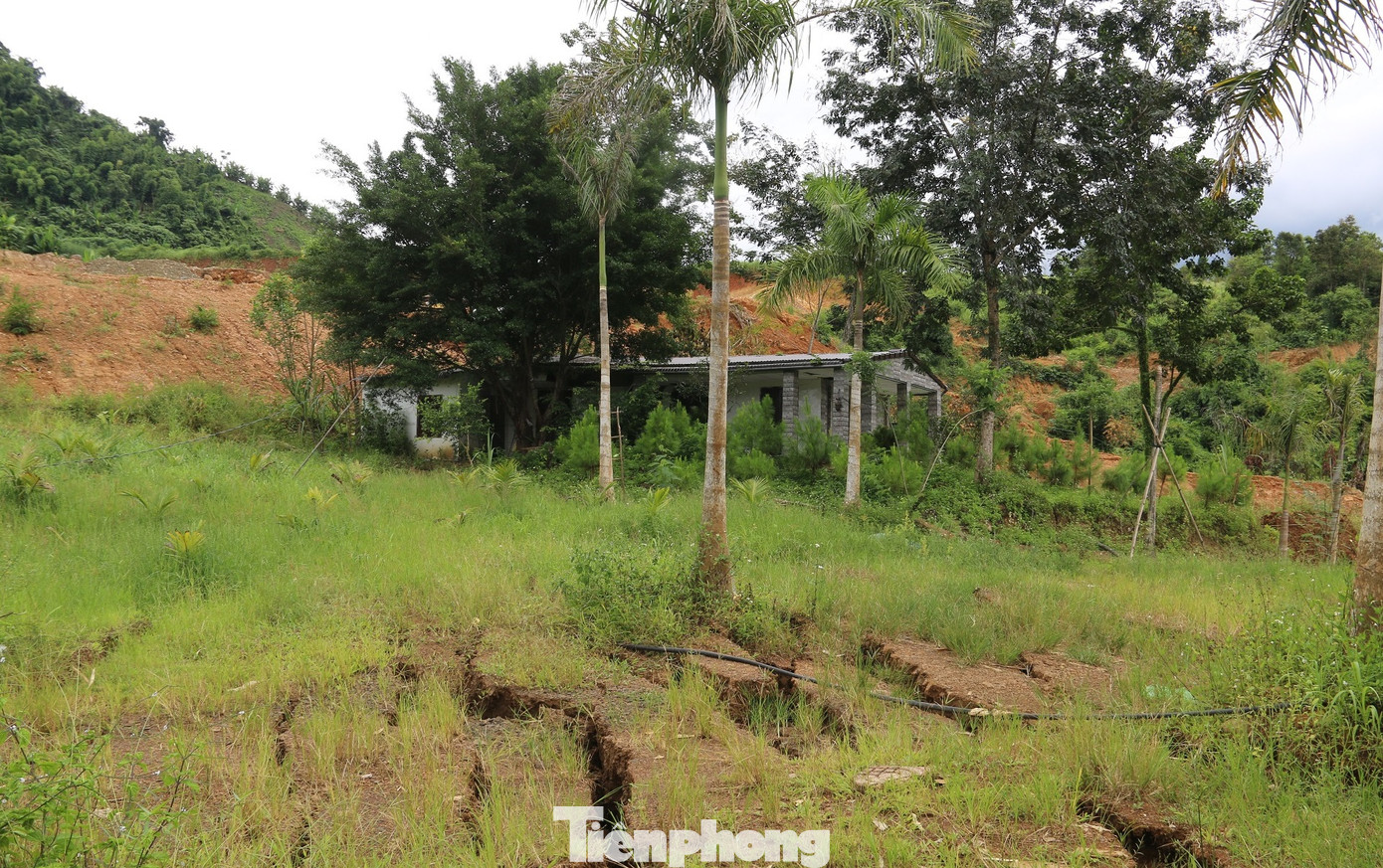 Xuất hiện nhiều vết nứt ở khu vực rẫy của người dân Xuất hiện nhiều vết nứt ở khu vực rẫy của người dân