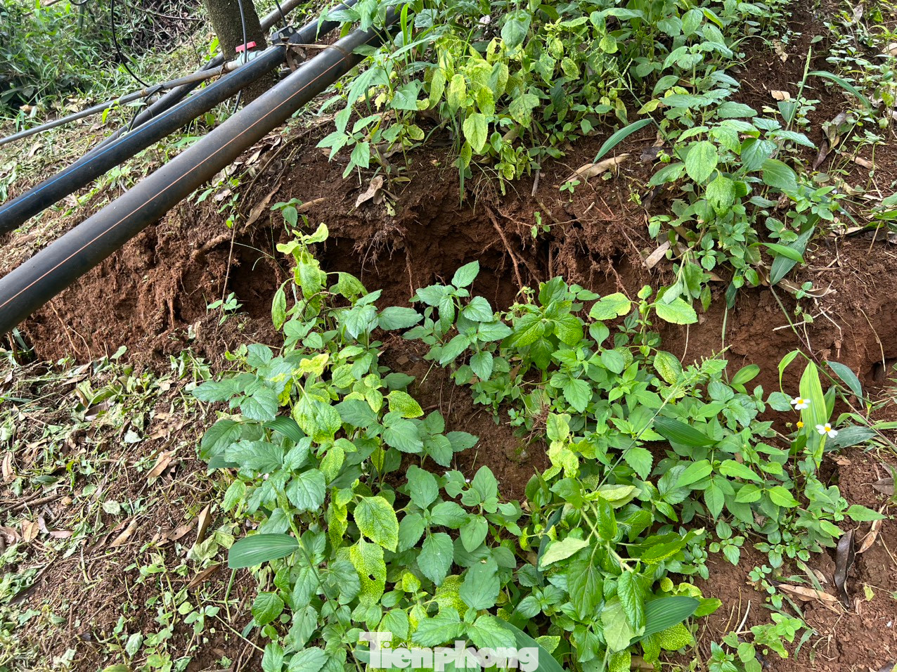 Xuất hiện nhiều vết nứt kéo dài, sụt lún ở xã Nhân Cơ Xuất hiện nhiều vết nứt kéo dài, sụt lún ở xã Nhân Cơ