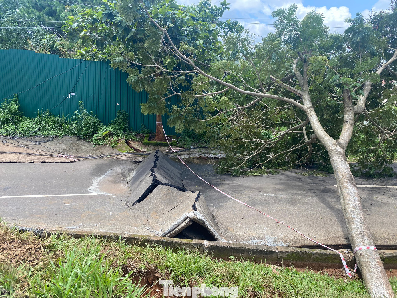 Cây xanh khu vực sạt trượt bị gãy đổ.