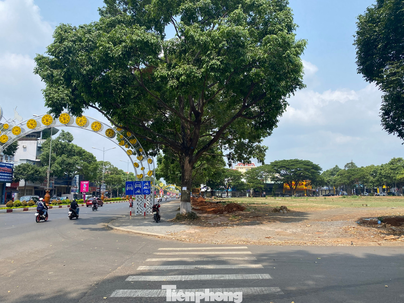 Vừa qua, theo phản ánh của người dân, có một nhóm người đã xới tung vỉa hè, chặt rễ hàng cây sao 30 năm tuổi trên đường Nguyễn Tất Thành (TP Buôn Ma Thuột) để thi công đường ống dẫn nước.