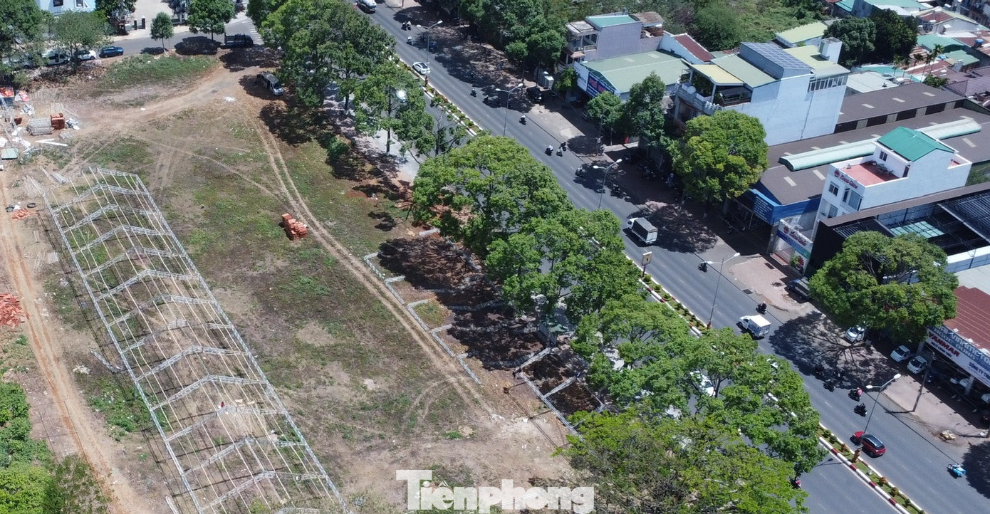 Ông Trần Đức Nhật, Phó Chủ tịch UBND TP Buôn Ma Thuột cho biết, sau khi nắm được sự việc, thành phố đã yêu cầu Cty CP cấp nước Đắk Lắk dừng thi công công trình. "UBND TP. Buôn Ma Thuột giao cho Phòng Quản lý đô thị, Ban Quản lý dự án đầu tư xây dựng và các đơn vị có liên quan phối hợp kiểm tra để có phương án xử lý, bảo vệ cây xanh".