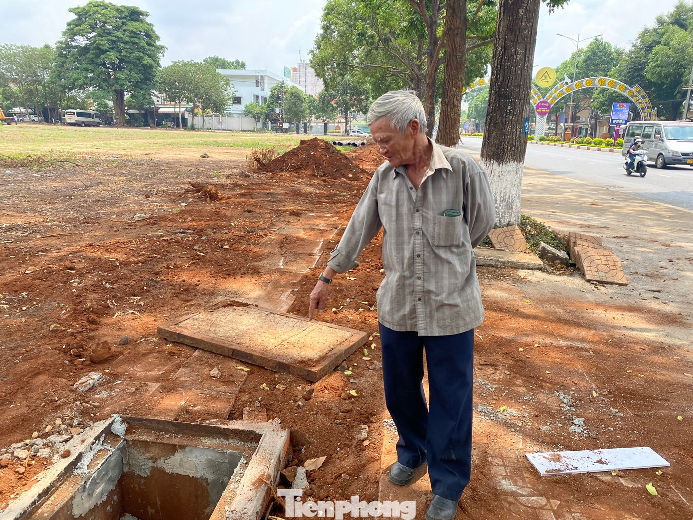 Hàng cây sao 30 năm tuổi ở Buôn Ma Thuột nguy cơ đổ gãy vì bị chặt rễ ảnh 7