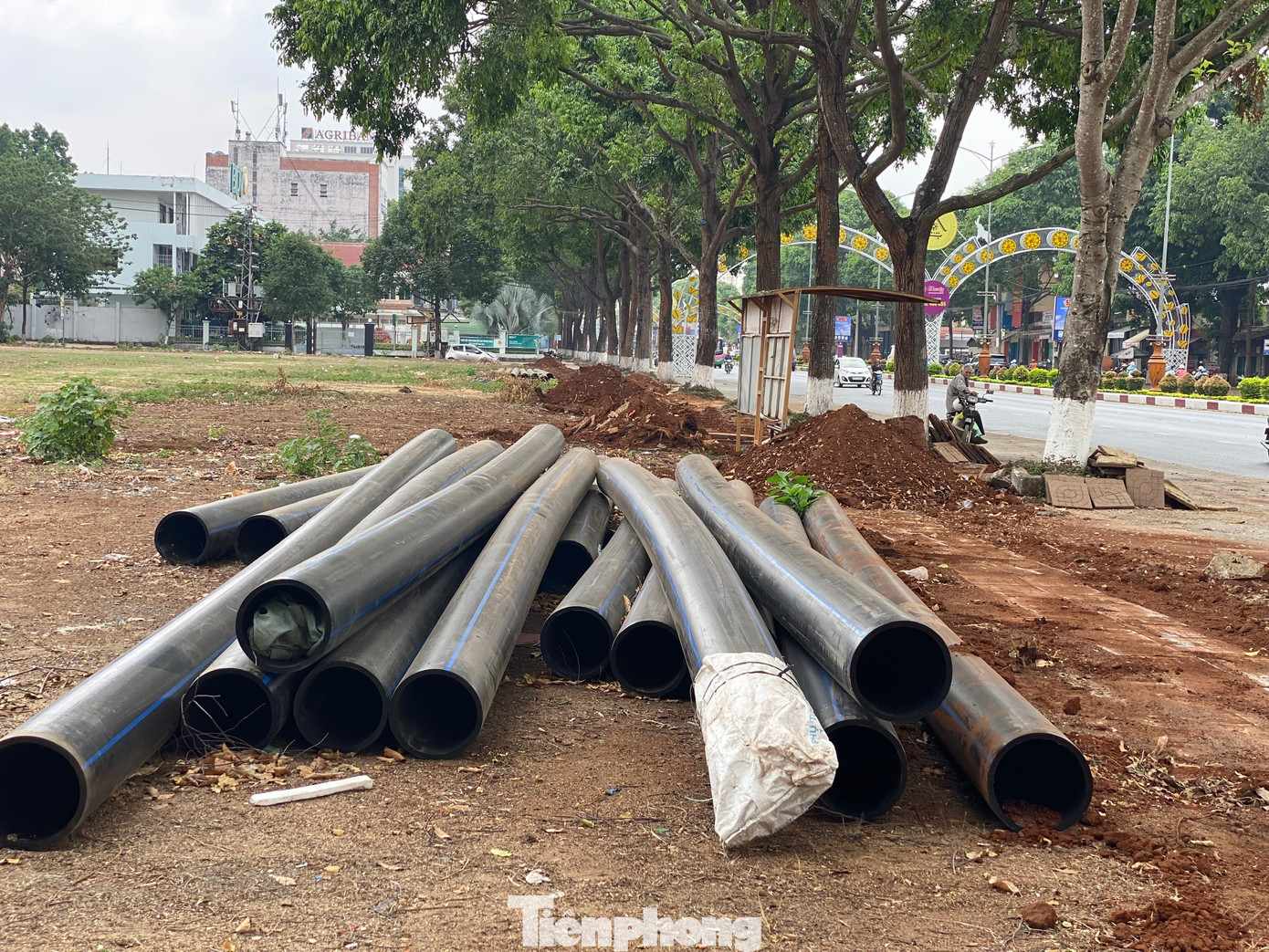 Ông Nguyễn Khắc Dần, Tổng Giám đốc Cty CP cấp nước Đắk Lắk, cho biết công ty đã cho tạm dừng thi công đường thoát nước để xin cấp lại giấy phép xây dựng, dời phần đường ống đi sâu vào bên trong để không làm ảnh hưởng đến phần rễ cây.