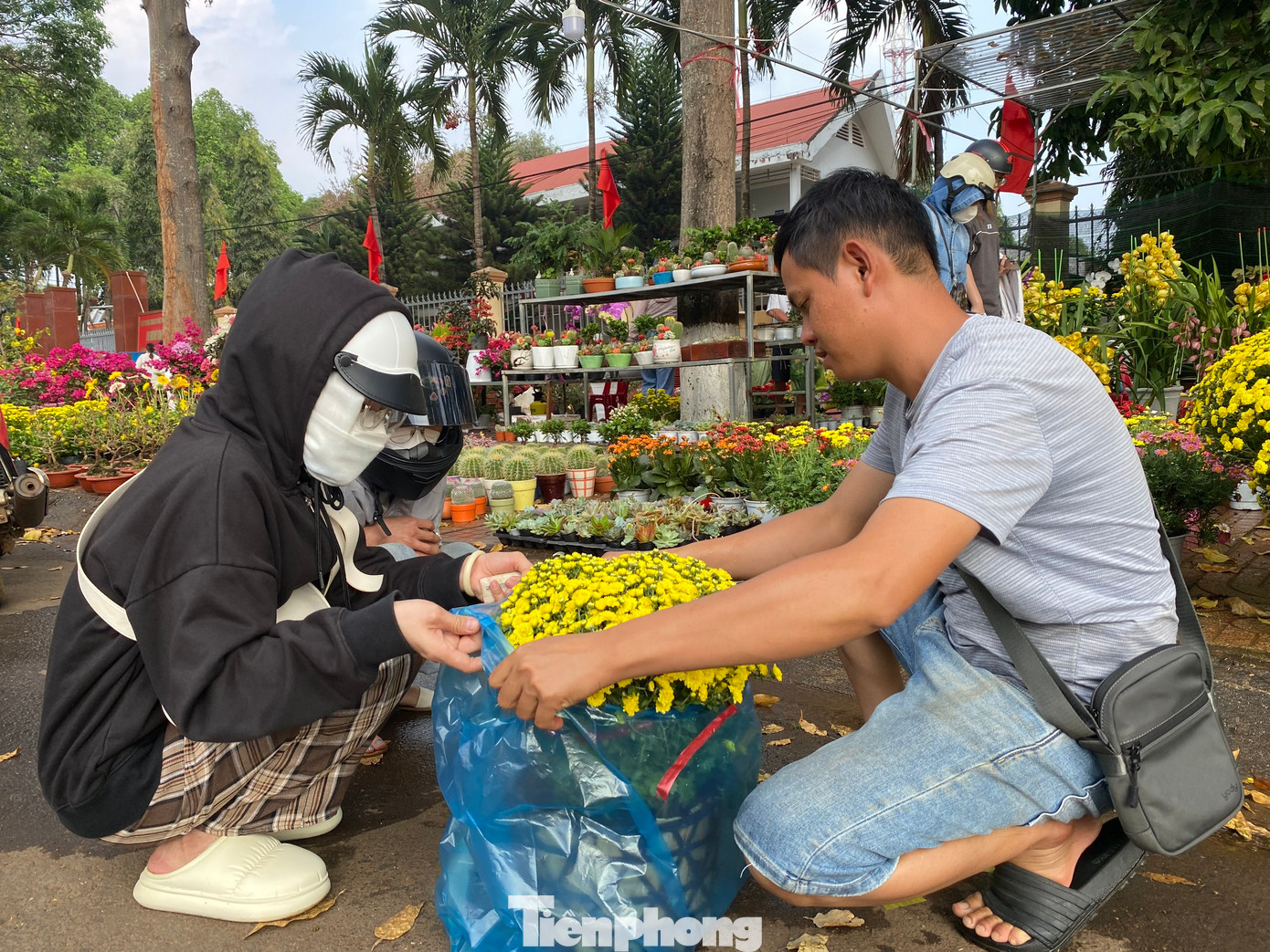 Chị Hoàng Thảo (SN 2002) cho hay, gia đình mua 2 chậu cúc mâm xôi để chơi Tết. Năm nay do kinh tế khó khăn nên gia đình chọn những loại cây mini, phù hợp để trưng bày trong nhà dịp Tết.