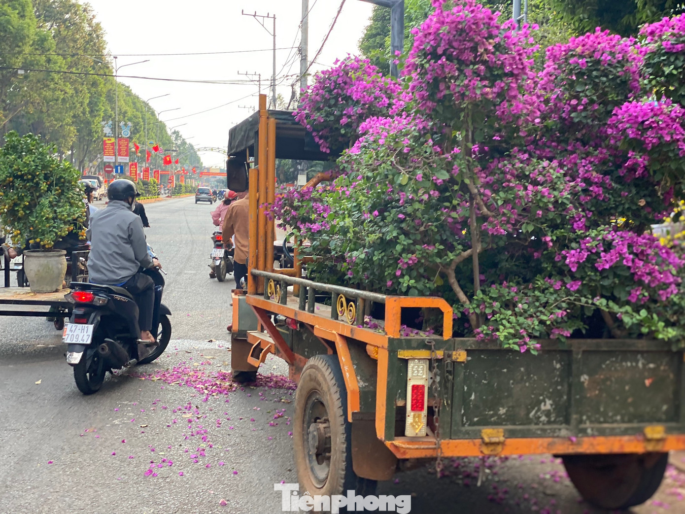 Hiếm hoi, một số thương lái bán được một vài cây quất, hoa giấy.