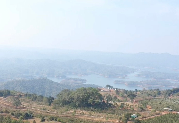 Du khách thường xuyên đến chụp hình tại khu vực cây đa di sản