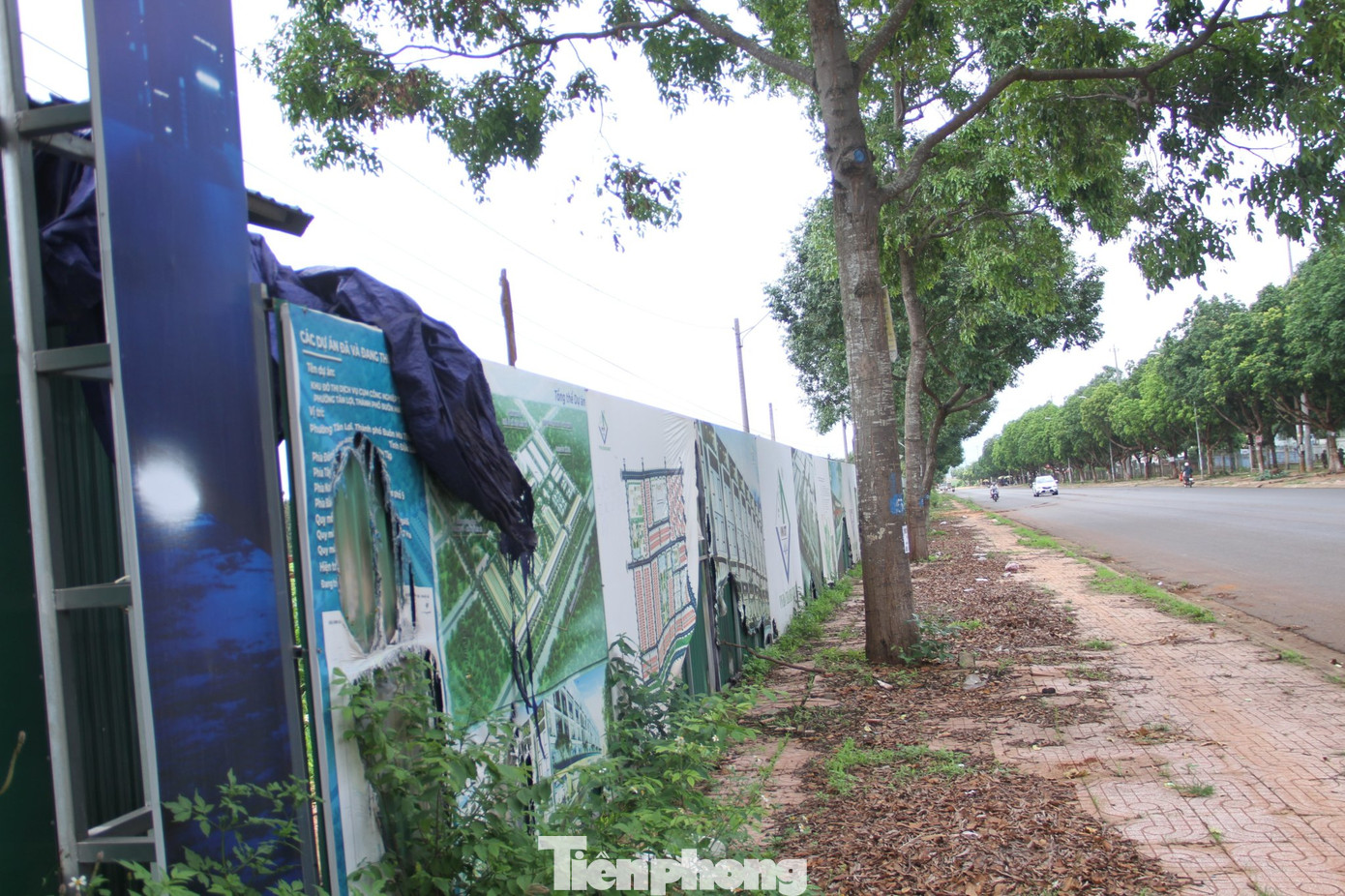 Nhiều tấm pano quảng cáo dự án của Cty VN Đà Thành bạc màu, rách nát, nhếch nhác