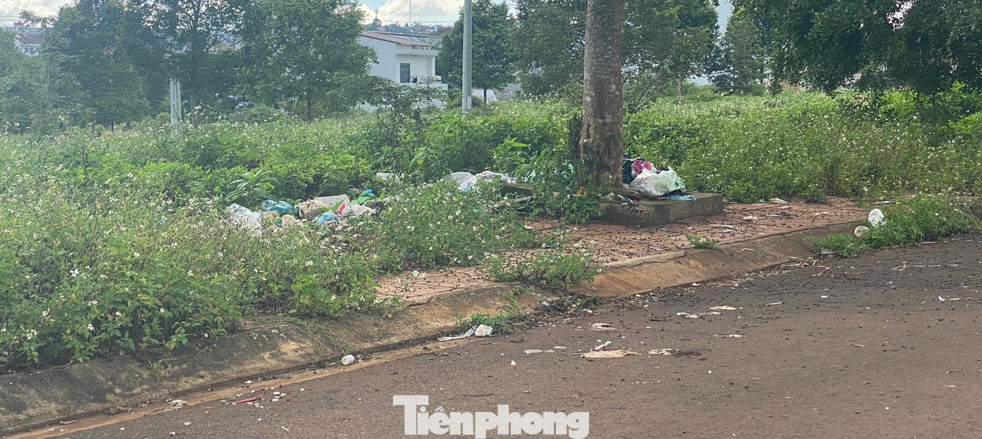 Rác vứt bừa bãi tại Khu đô thị Đông Nam