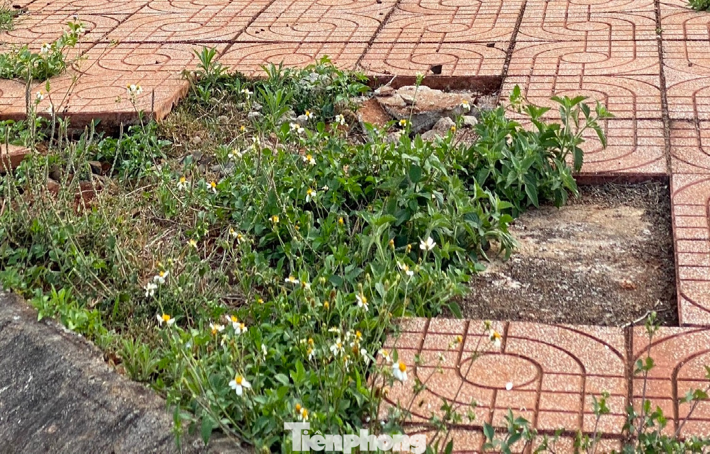 Nhiều đoạn vỉa hè ở dự án khu đô thị Đông Nam bị bong tróc