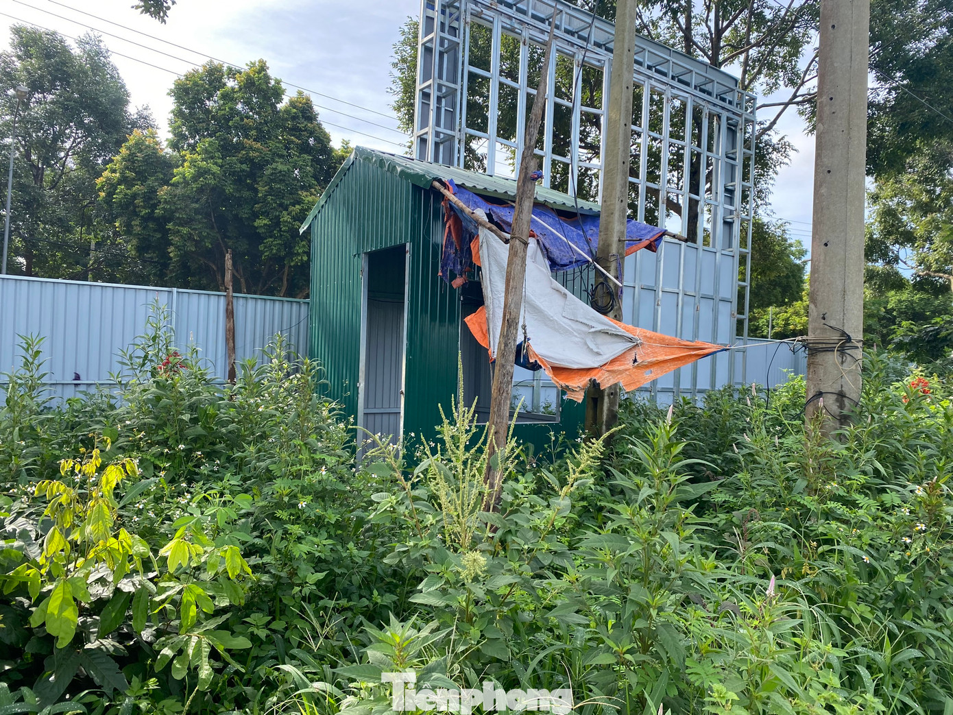 Nhà bảo vệ dự án bỏ hoang, cỏ mọc um tùm