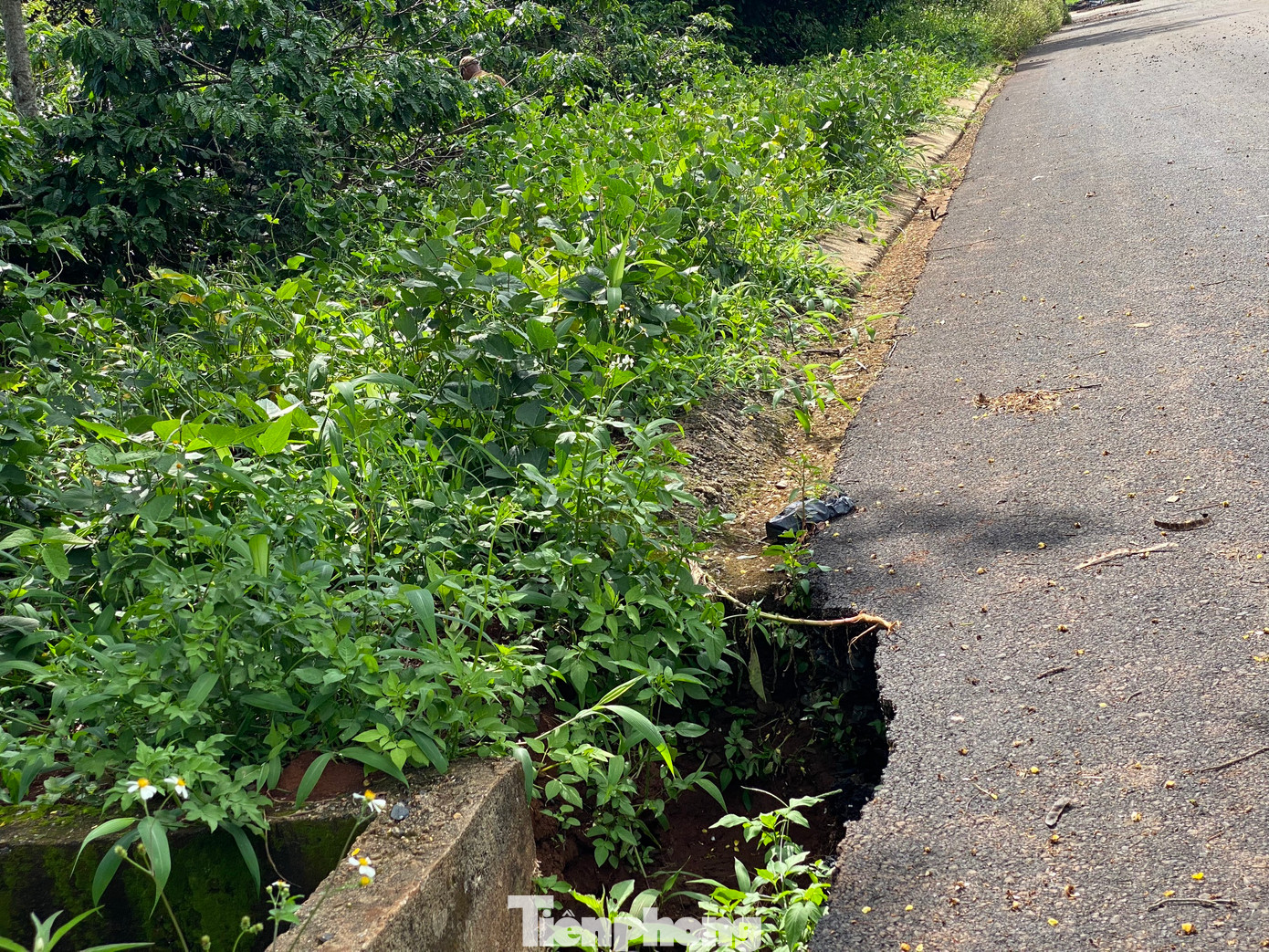 Dù mới đổ nhựa nhưng đoạn đường đi trong khu vực khu đô thị Đông Nam đã bị sụt lún, có hố sâu.