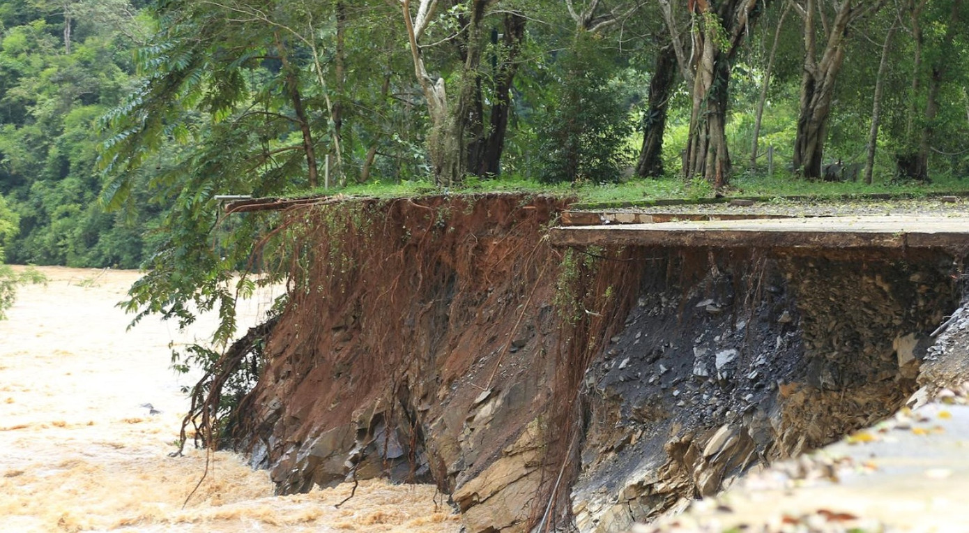 Nhiều cây xanh khu vực khuôn viên Nhà máy Thủy điện Đắk R'tih bị nước xói trơ rễ Nhiều cây xanh khu vực khuôn viên Nhà máy Thủy điện Đắk R'tih bị nước xói trơ rễ