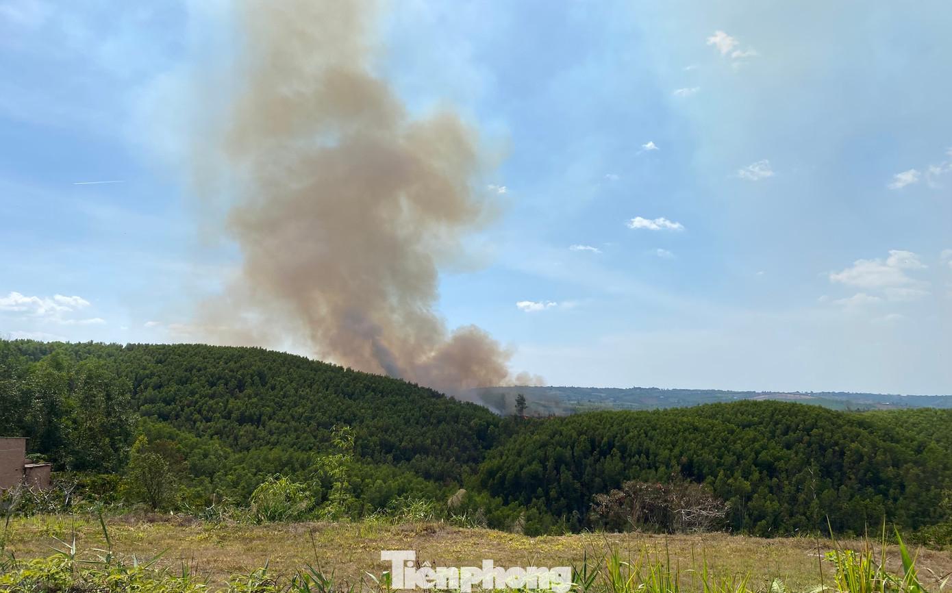 Một vụ đốt rừng ở huyện Đắk G'Long