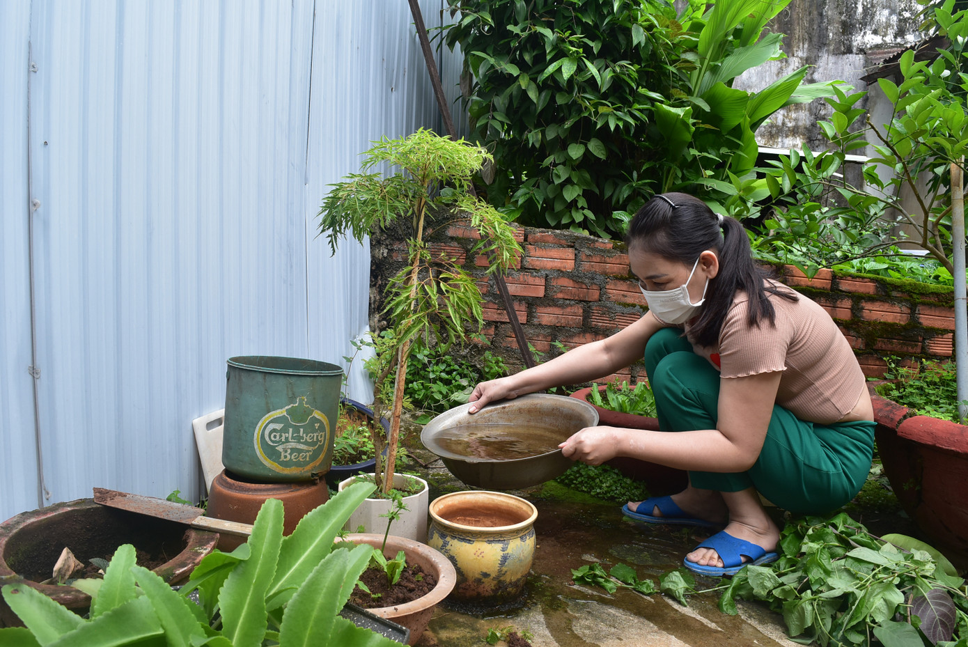 Người dân kiểm tra, phát hiện, loại bỏ các ô loăng quăng