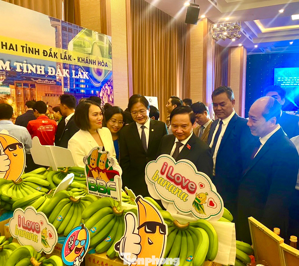 Các đại biểu tham quan các sản phẩm nông nghiệp tại hội nghị