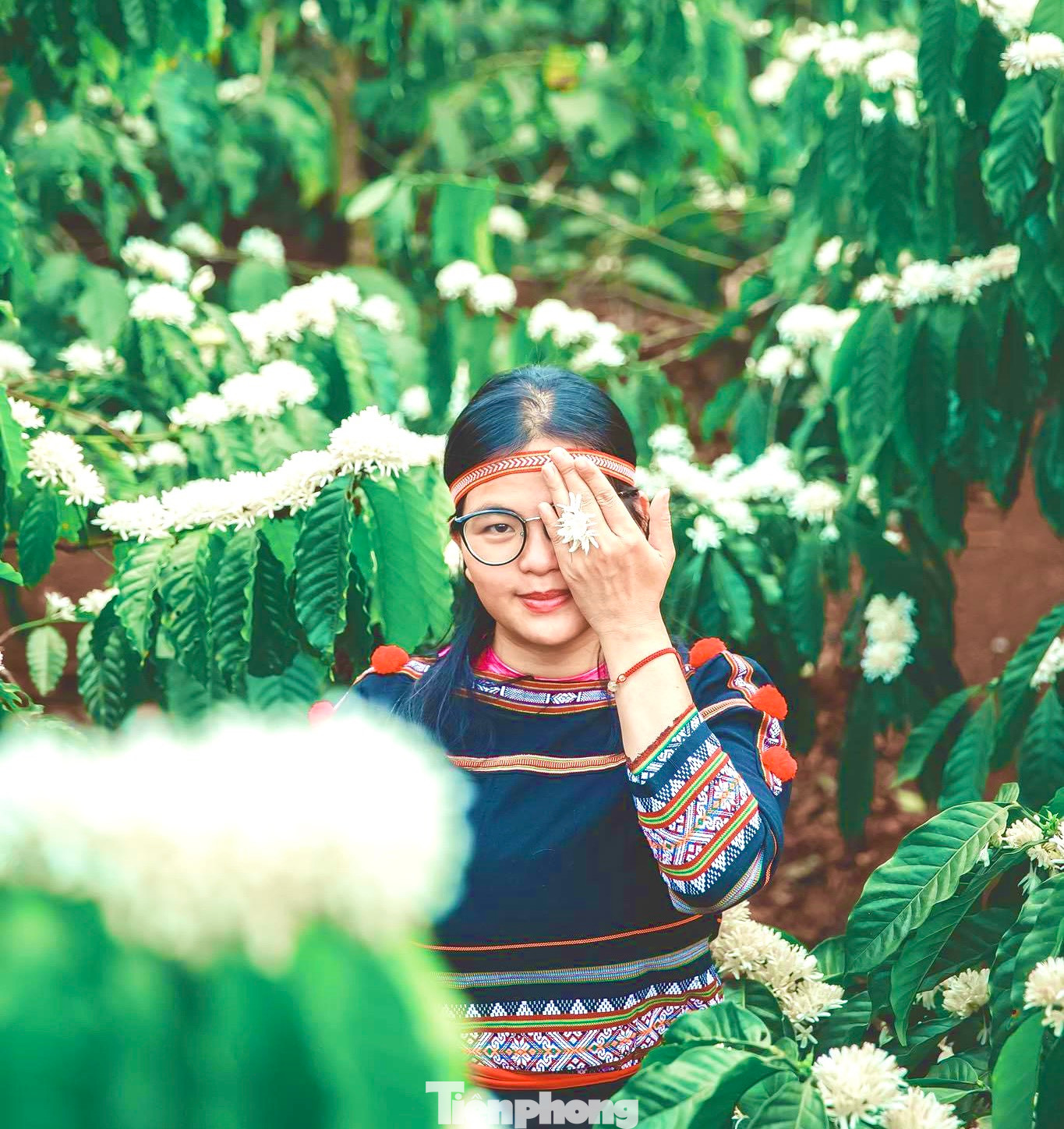 Cô gái mặc trang phục truyền thống của người Ê đê tạo dáng bên cây cà phê