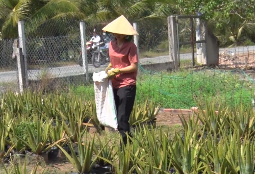 Cô gái đoạt 100 triệu đồng 'Thách thức danh hài' có gia cảnh khó khăn ảnh 2