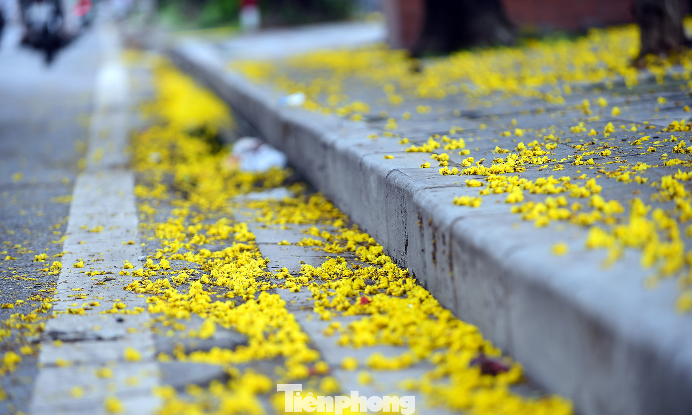 Những ngày hè tháng 6 rực đỏ hoa phượng, vàng rộ hoa điệp tô điểm khoảng trời và nền phố, những học sinh năm cuối bậc phổ thông bước vào kỳ thi quan trọng: Tốt nghiệp THPT Quốc gia. Đây cũng là lúc nhiều bạn trẻ khoác lên mình màu áo xanh tình nguyện &quot;Tiếp sức mùa thi&quot;. Ảnh: Tường Kha