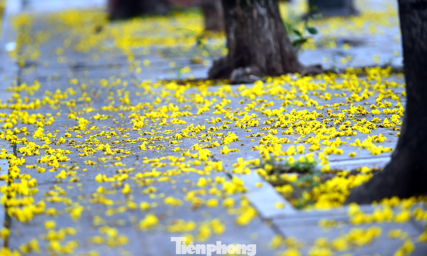 Những ngày hè tháng 6 rực đỏ hoa phượng, vàng rộ hoa điệp tô điểm khoảng trời và nền phố, những học sinh năm cuối bậc phổ thông bước vào kỳ thi quan trọng: Tốt nghiệp THPT Quốc gia. Đây cũng là lúc nhiều bạn trẻ khoác lên mình màu áo xanh tình nguyện &quot;Tiếp sức mùa thi&quot;. Ảnh: Tường Kha