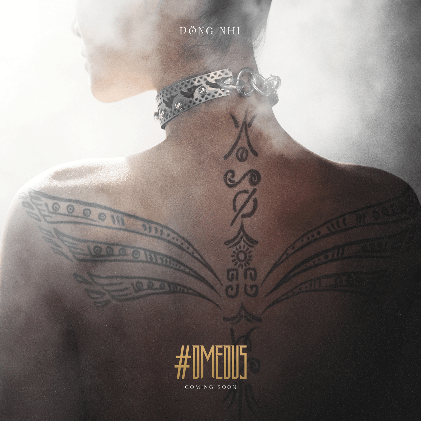 Fan tò mò liệu dòng viết tắt "DMEDUS" có phải là tên ca khúc mới của Đông Nhi?