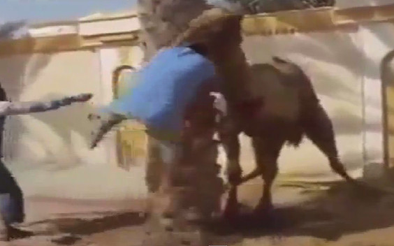 10 video 'hot': Sức mạnh khủng khiếp của tên lửa Tochka-U ảnh 8