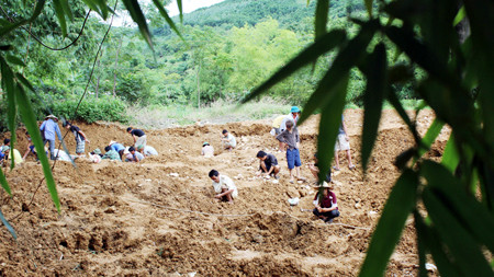 Người dân đào bới tìm đá trong khu vườn nhà anh Tường, xóm Ngành