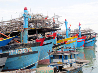 Tàu câu mực Đà Nẵng nằm bờ