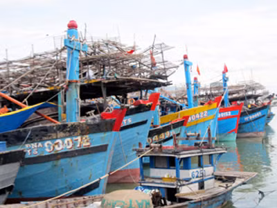 Tàu câu mực Đà Nẵng nằm bờ