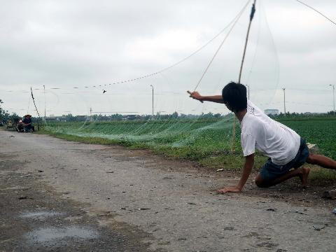 Một mẻ lưới thành công 