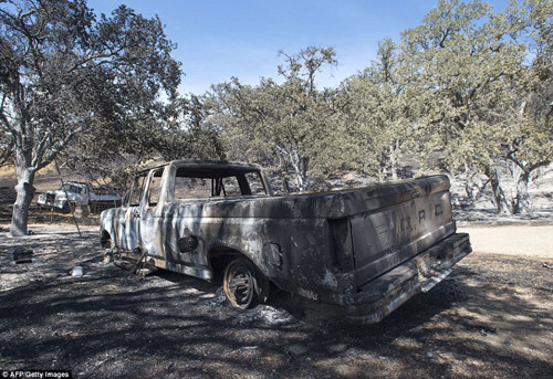 Cháy rừng khủng khiếp ở Mỹ, 13 người thương vong ảnh 5