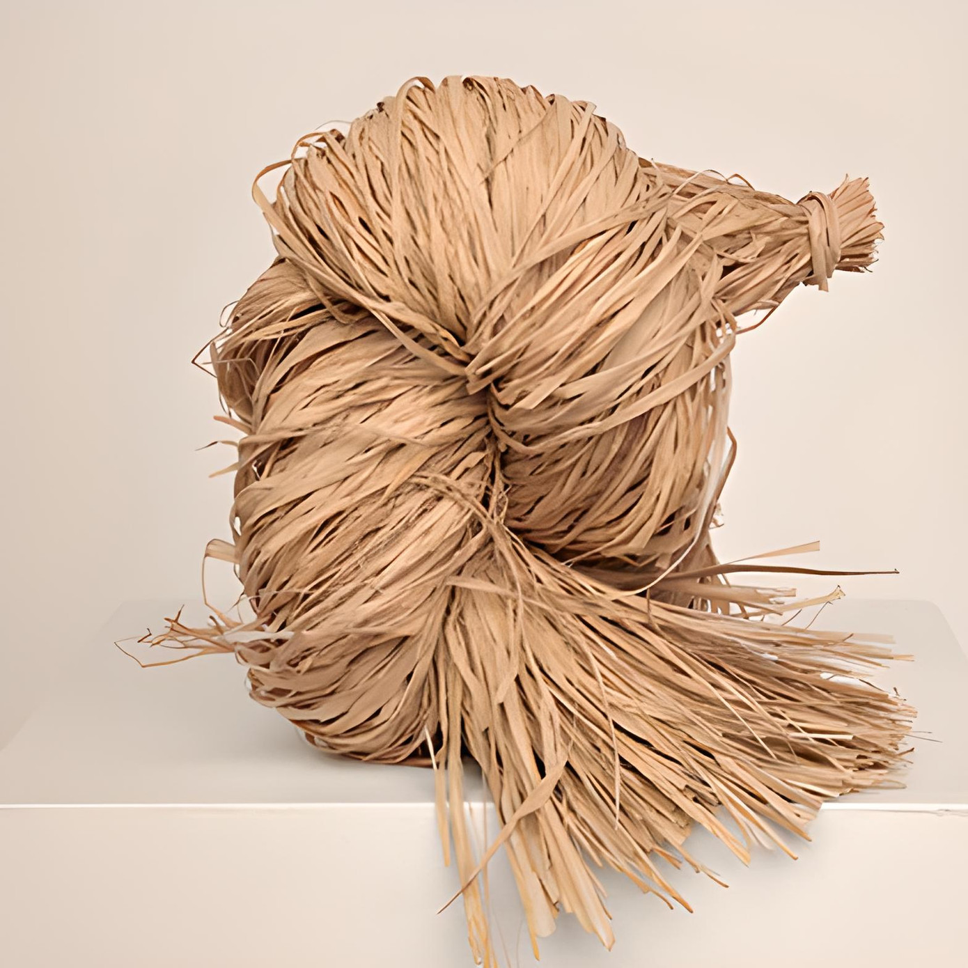 Chất liệu raffia được các thương hiệu thời trang sử dụng để chinh phục tính bền vững và góp phần bảo vệ môi trường. Chất liệu raffia được các thương hiệu thời trang sử dụng để chinh phục tính bền vững và góp phần bảo vệ môi trường.