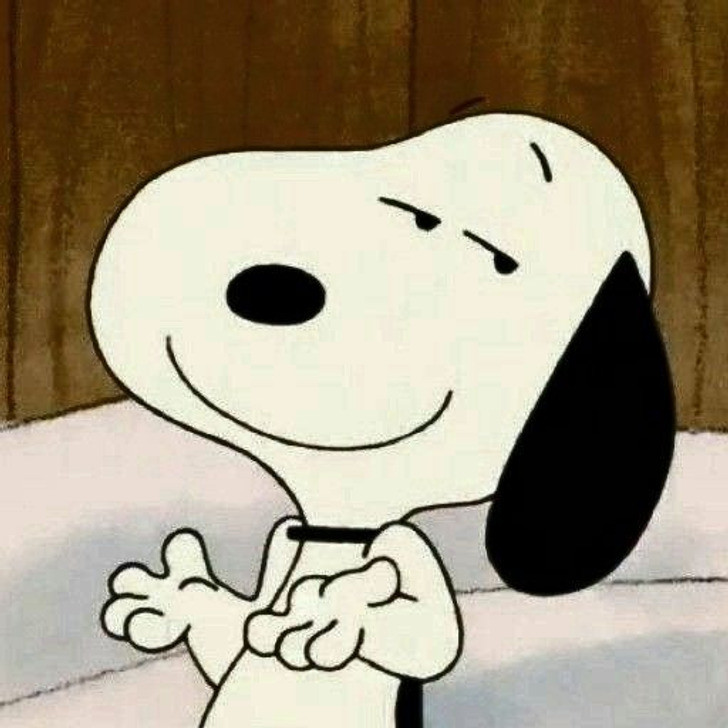Snoopy được miêu tả trong truyện tranh Peanuts là chó săn. Snoopy được miêu tả trong truyện tranh Peanuts là chó săn.