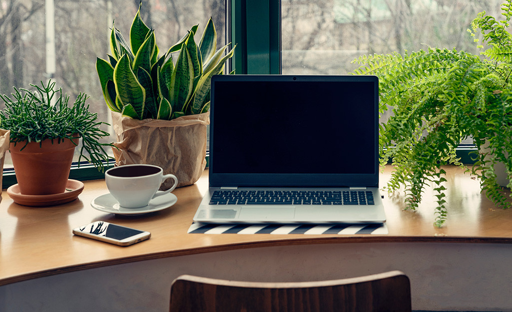 Nhiều nghiên cứu cho thấy cây xanh trong văn phòng có thể tăng năng suất lên 20-45%. Nhiều nghiên cứu cho thấy cây xanh trong văn phòng có thể tăng năng suất lên 20-45%.