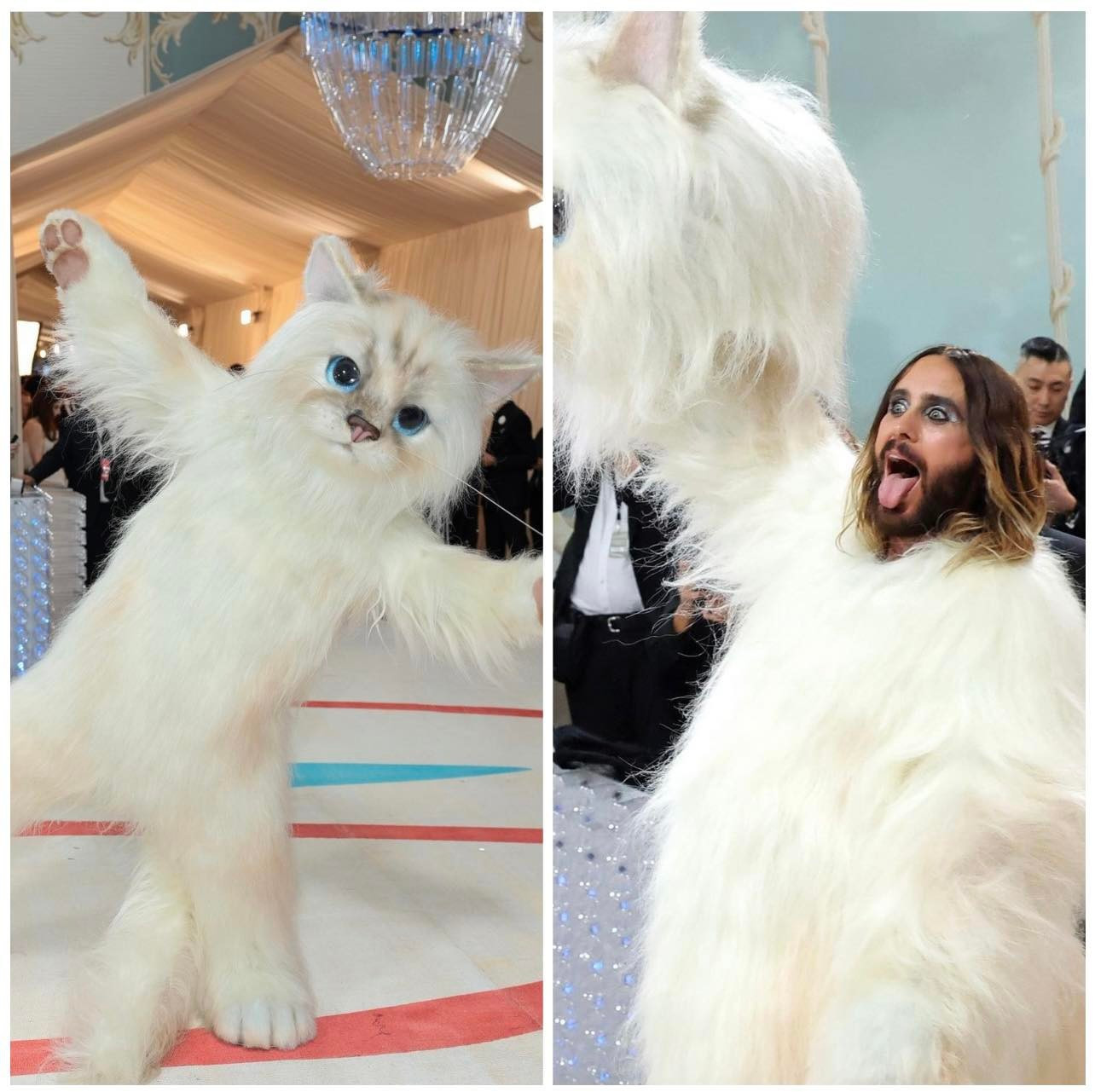 Quá sức đáng yêu, không gì ý nghĩa hơn khi bé mèo Choupette xuất hiện tại Met Gala tưởng nhớ ông chủ của mình. Và người tái hiện mèo Choupette chính là Jared Leto. Điều đặc biệt là Jared sẽ đóng vai chính và sản xuất bộ phim tiểu sử về Karl Lagerfeld.