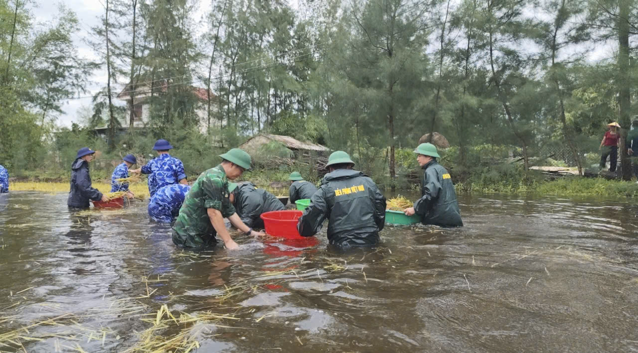 Đồn Biên phòng Cửa khẩu cảng Cửa Việt huy động cán bộ, chiến sĩ phối hợp với Hải đội 202 - Cảnh sát biển trực tiếp về thôn 5, xã Gio Hải, huyện Gio Linh giúp dân thu hoạch lúa bị ngập úng. Đồn Biên phòng Cửa khẩu cảng Cửa Việt huy động cán bộ, chiến sĩ phối hợp với Hải đội 202 - Cảnh sát biển trực tiếp về thôn 5, xã Gio Hải, huyện Gio Linh giúp dân thu hoạch lúa bị ngập úng.