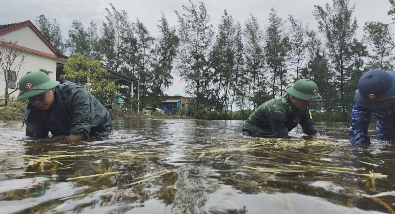 Việc gặt lúa trong điều kiện thời tiết bất lợi, ruộng đồng ngập nước sâu gây nhiều khó khăn, tuy nhiên các lực lượng đã nỗ lực hỗ trợ, giúp người dân giảm thiểu thiệt hại mùa màng. Việc gặt lúa trong điều kiện thời tiết bất lợi, ruộng đồng ngập nước sâu gây nhiều khó khăn, tuy nhiên các lực lượng đã nỗ lực hỗ trợ, giúp người dân giảm thiểu thiệt hại mùa màng.
