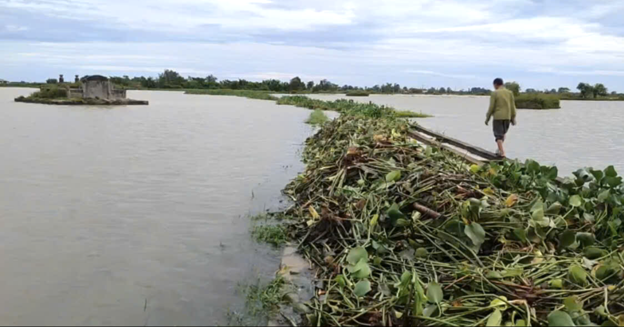 Cánh đồng làng Quảng Điền A, nơi tìm thấy thi thể ông Lê Quang Diễn.