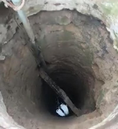 Tìm thấy thi thể bé trai 3 tuổi dưới giếng nước sau nhà ảnh 2