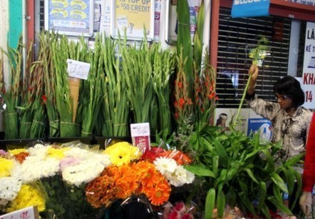 Hoa tươi ngày Tết