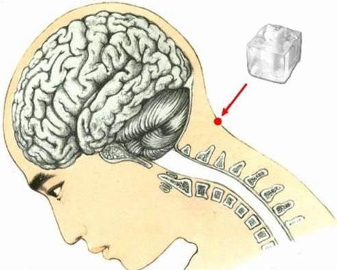Đây là vị trí huyệt Phong Phủ