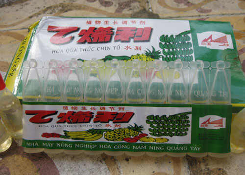 Giá của những lọ này chỉ từ 2.000 – 2.500 đồng